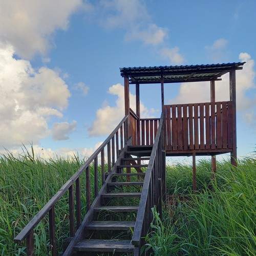 Photo #7961854
