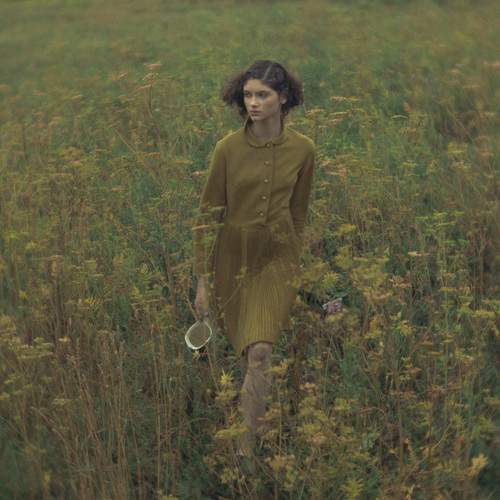 Photo #7961901