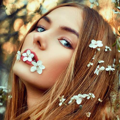Photo #7962019