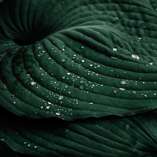 Photo #7962103