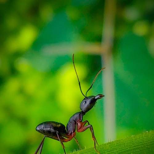 Photo #7963025