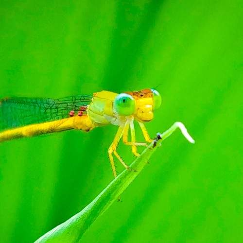 Photo #7963030