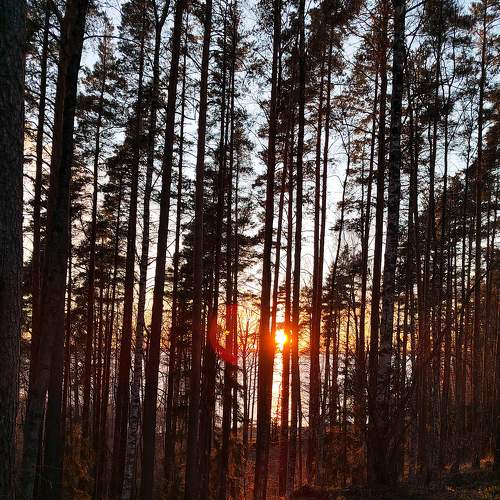 Photo #7963213