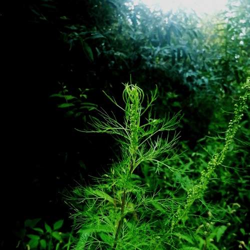 Photo #7963373