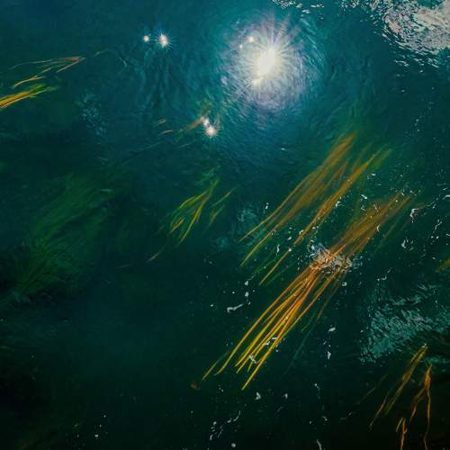 Photo #7963412