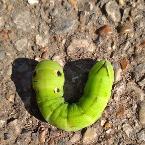 Photo #7963496