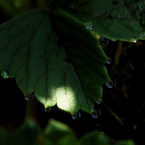 Photo #7963570
