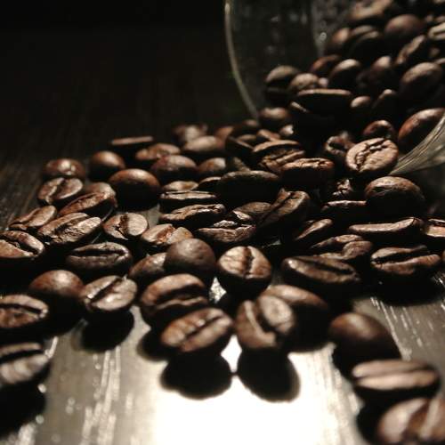 Photo #7963780