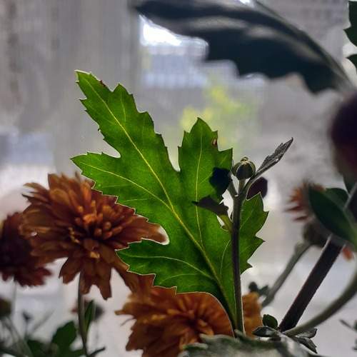 Photo #7963970