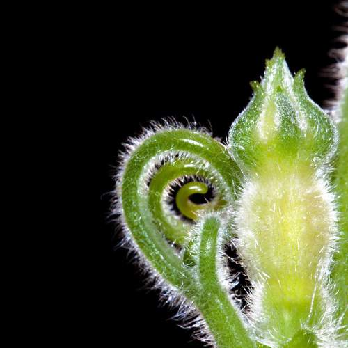 Photo #7964105