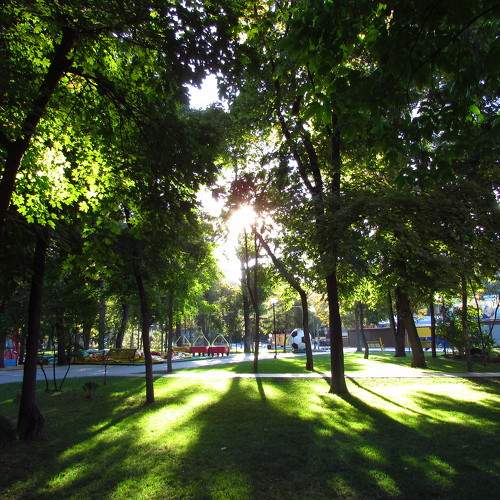 Photo #7964117