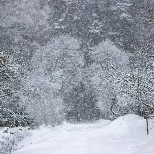 Photo #7964532