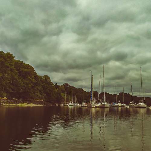 Photo #7965356