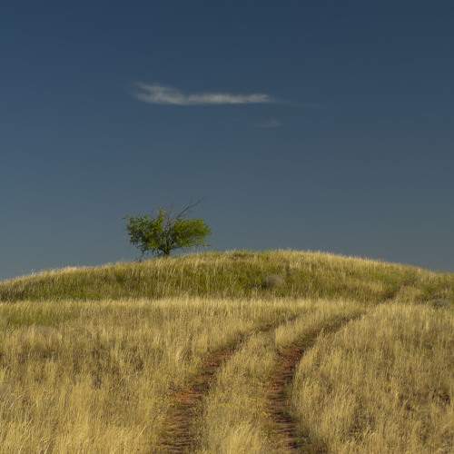Photo #7965423