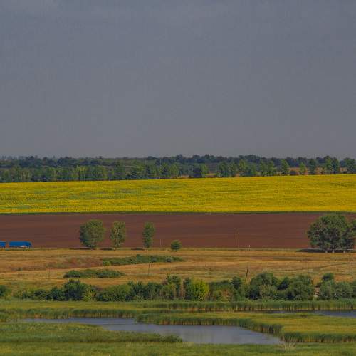 Photo #7965424