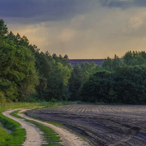 Photo #7965506