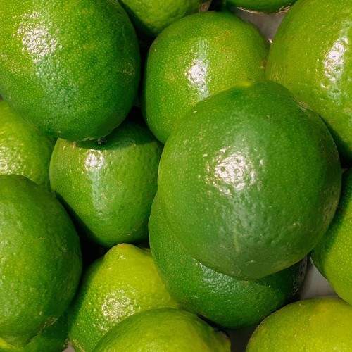 Photo #7965634