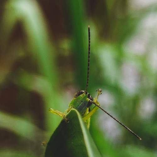 Photo #7965913