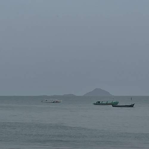 Photo #7966077