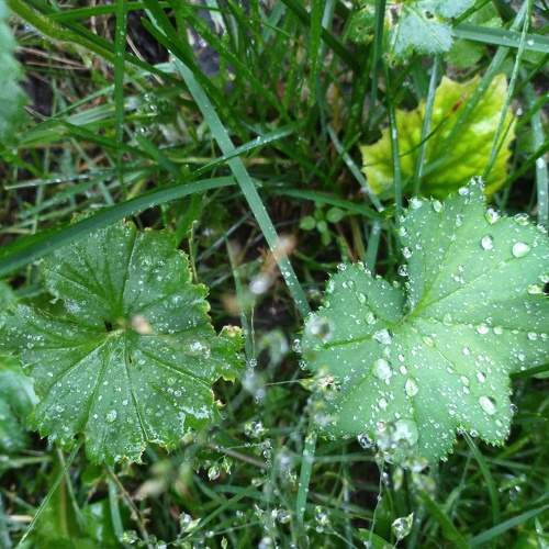 Photo #7966297