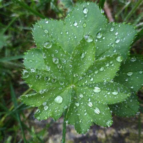 Photo #7966302