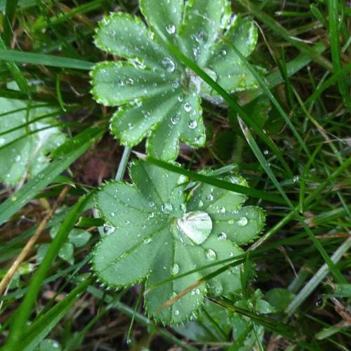 Photo #7966318