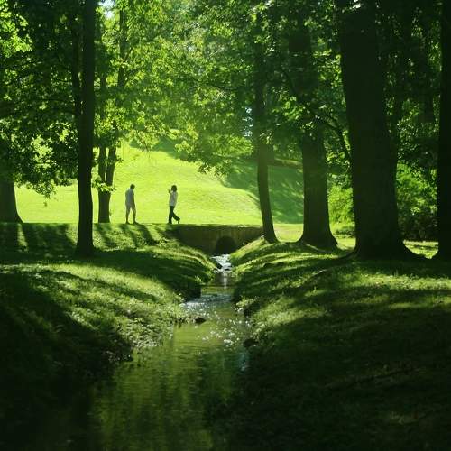 Photo #7966523