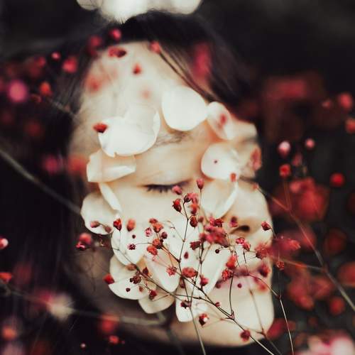 Photo #7966866