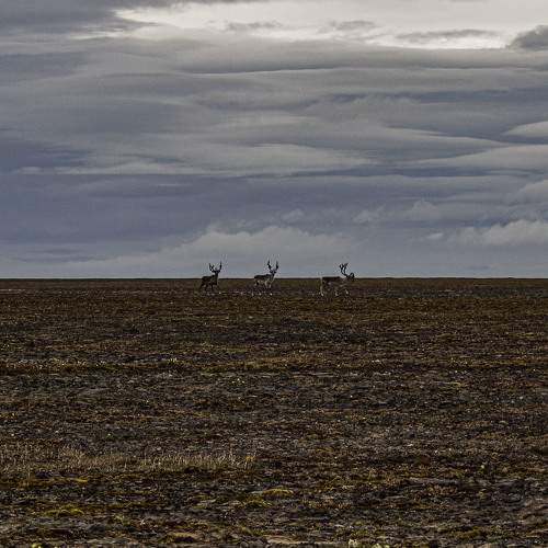 Photo #7967363