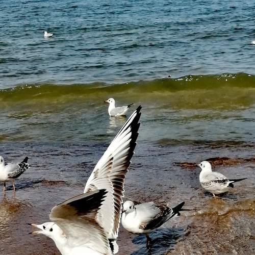 Photo #7967377