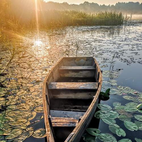 Photo #7967595