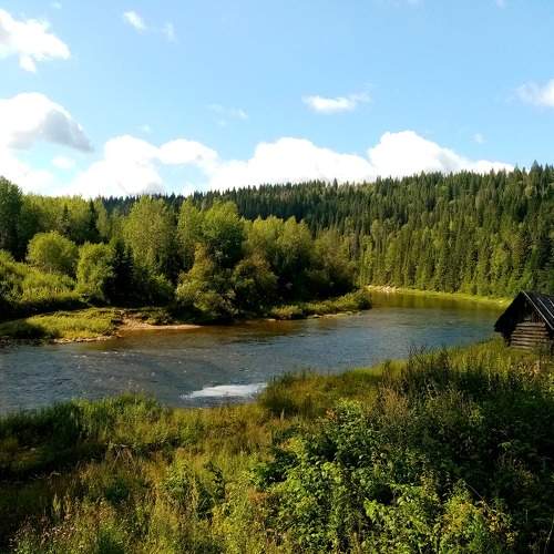 Photo #7967665