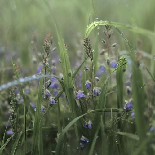 Photo #7968266