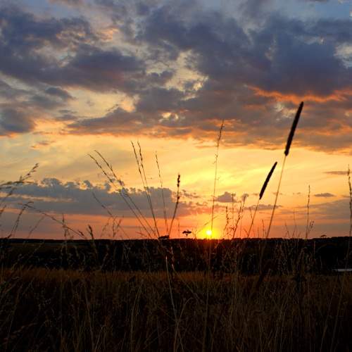Photo #7968562