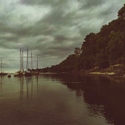 Photo #7968686