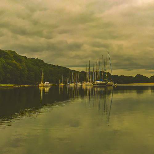Photo #7968721