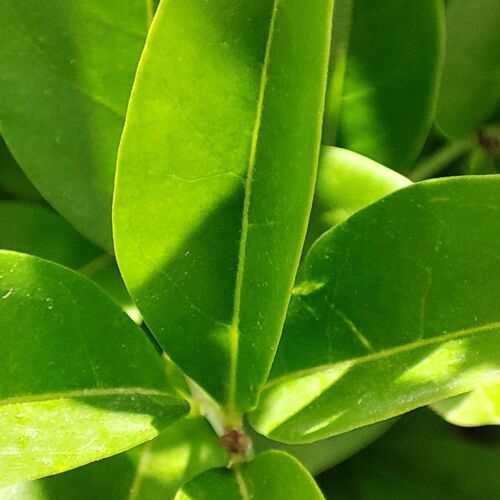 Photo #7969814