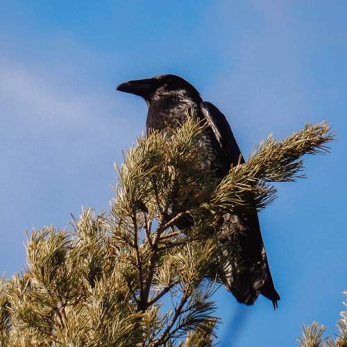 Photo #7970076
