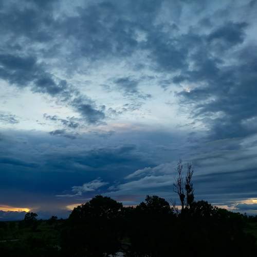 Photo #7970174