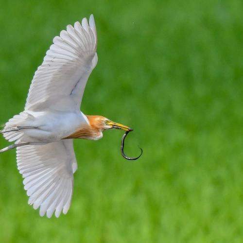 Photo #7970182
