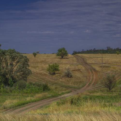 Photo #7970575