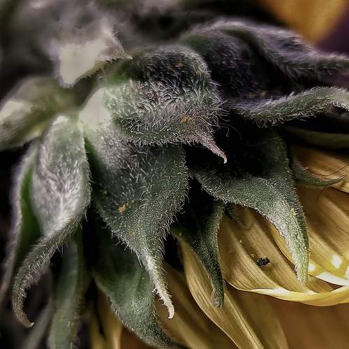 Photo #7970634