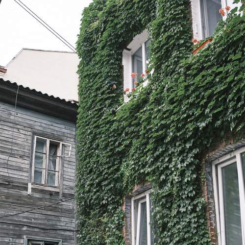Photo #7970689