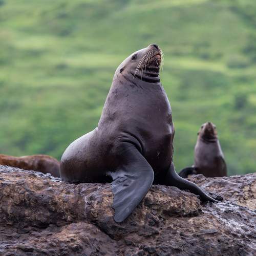 Photo #7971053