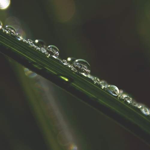 Photo #7971085