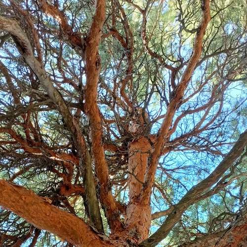 Photo #7971095