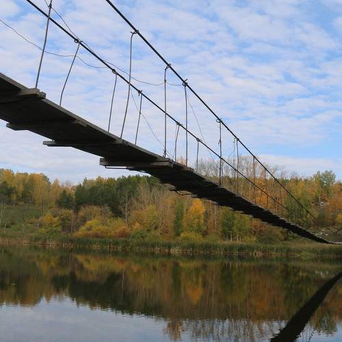 Photo #7971499