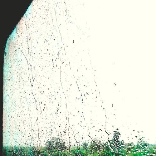 Photo #7971575