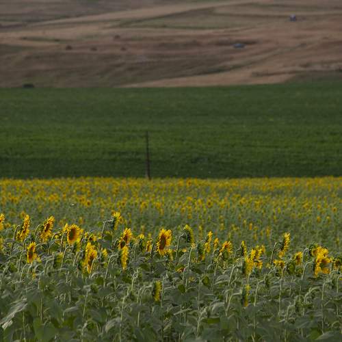 Photo #7971576