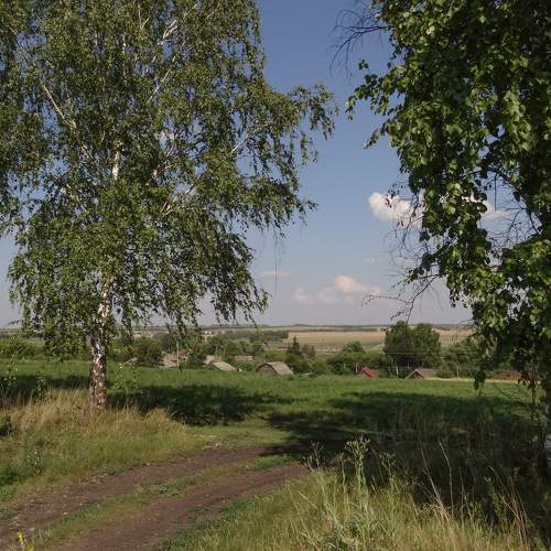 Зелёное лето
